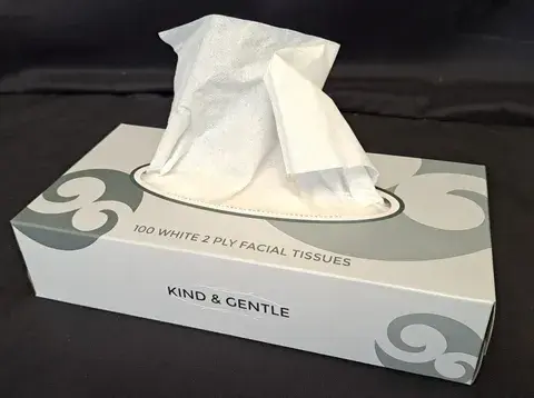 Tissues Facial 100's Plain Box - Hygiene Direct